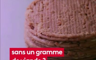 STOP AUX INVENTIONS! ON VEUT DE LA VIANDE!