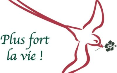 ASSOCIATION | PLUS FORT LA VIE !