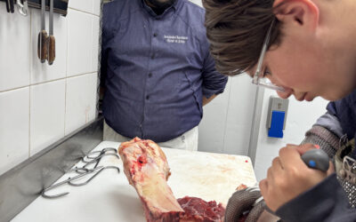 LA TRANSMISSION AU COEUR DE NOTRE METIER